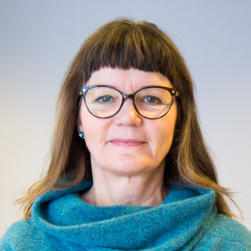Anne-Maria Holma, Associate Professor