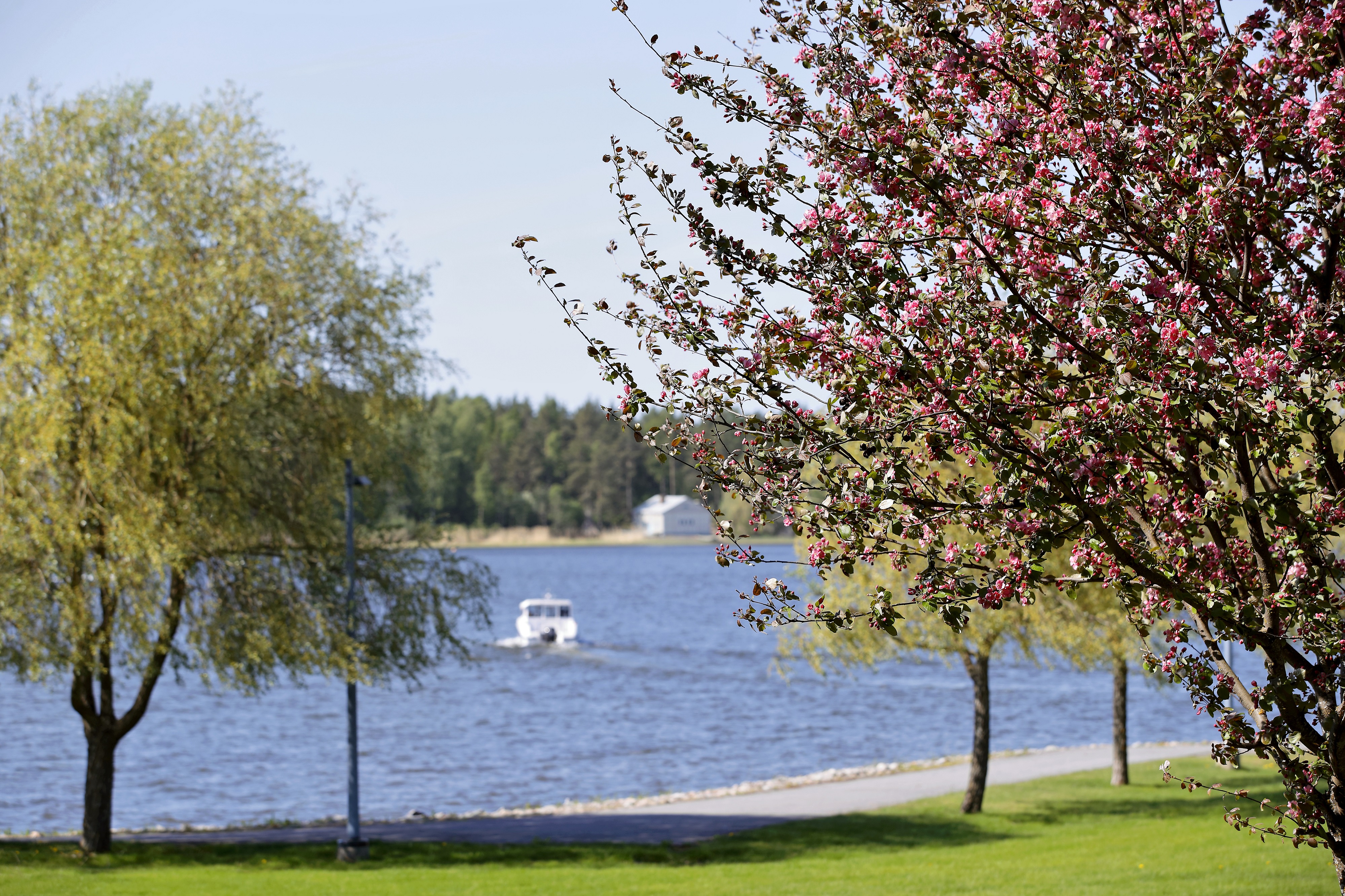 Kesäinen maismakuva kampukselta
