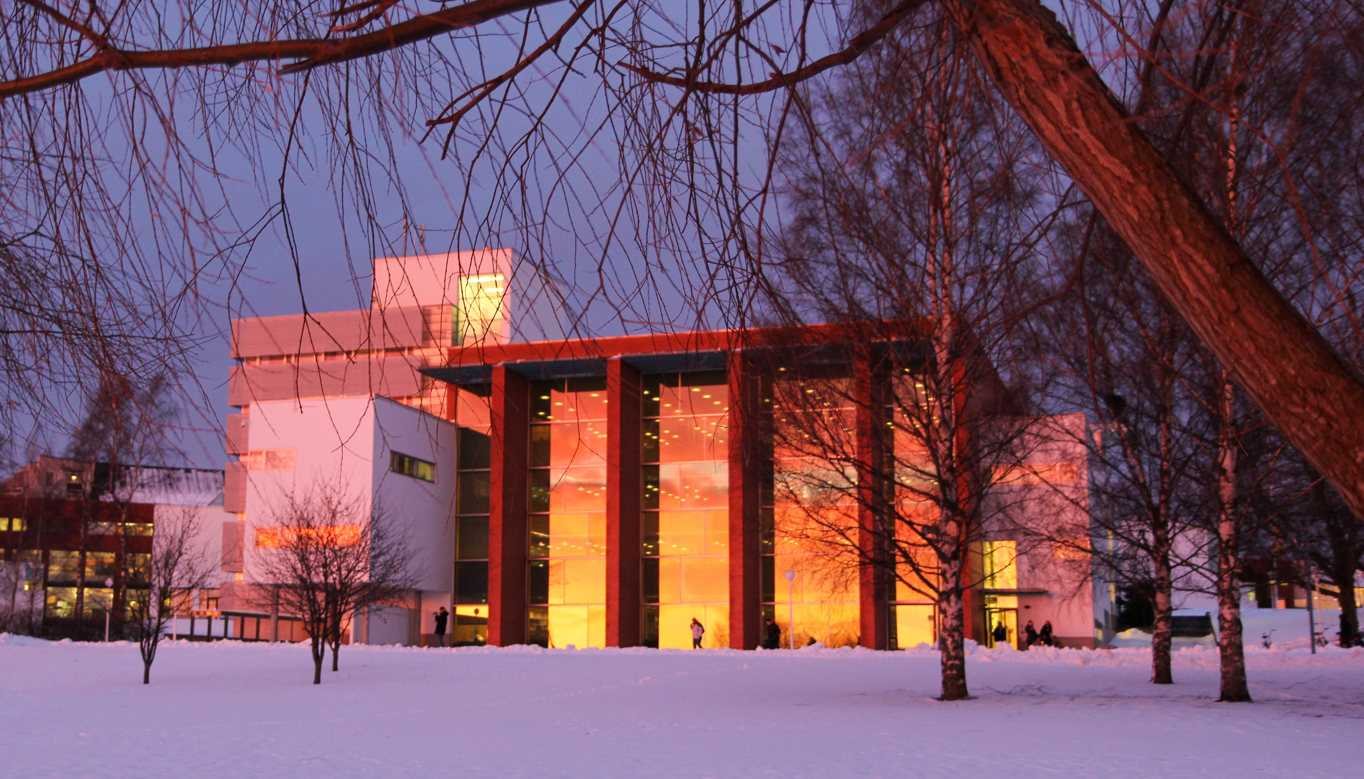 Auringonlasku kampuksella, kuva: Riikka Kalmi