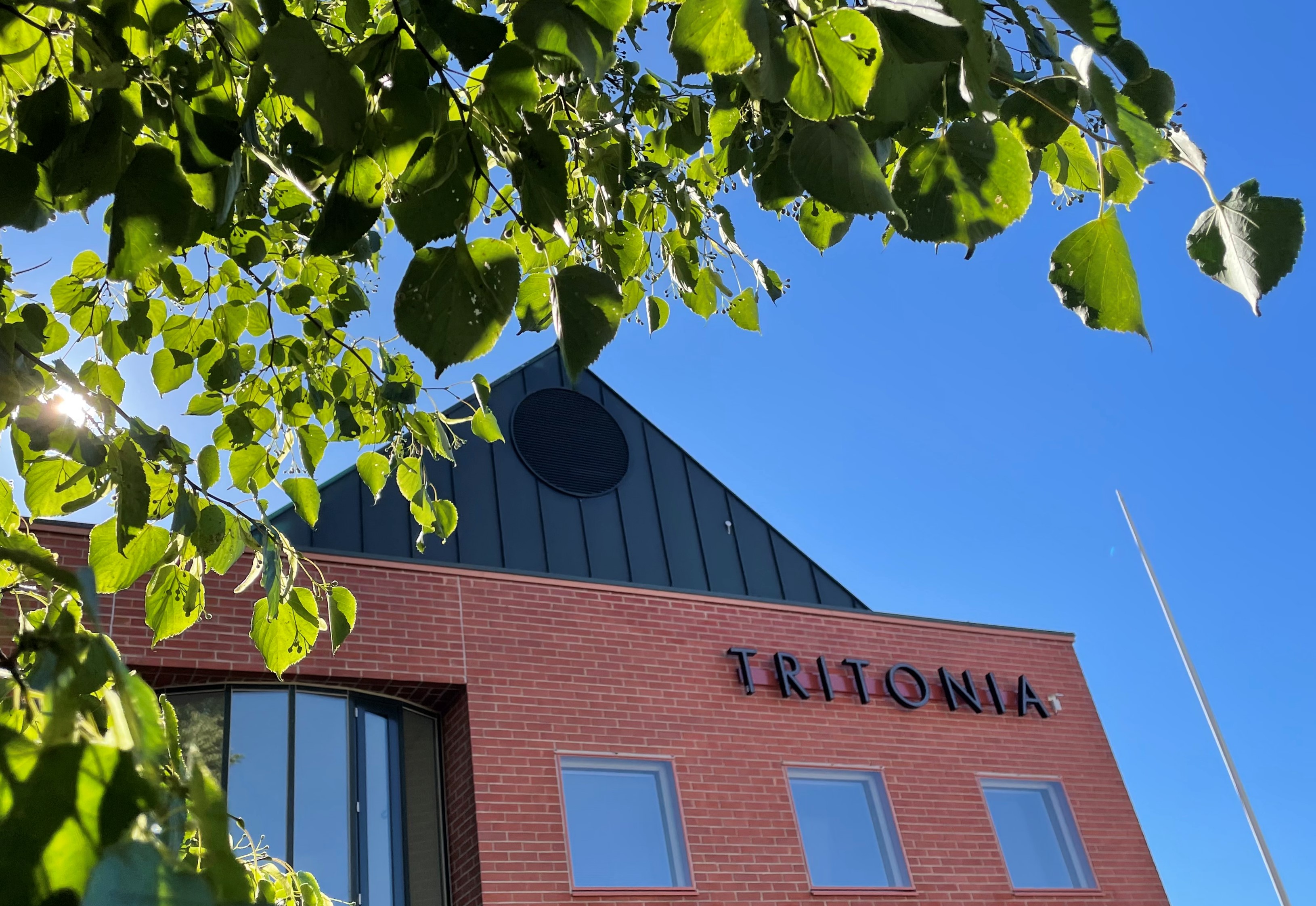 Kirjastorakennus ja vihreät puut