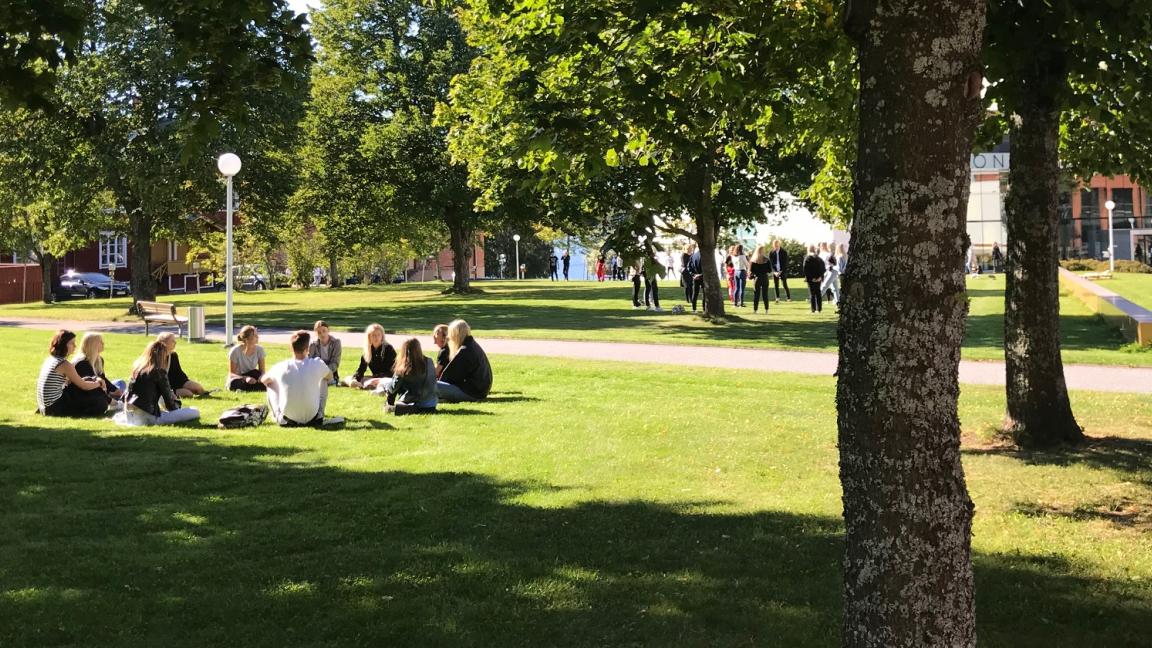 Opiskelijoita kampuksella