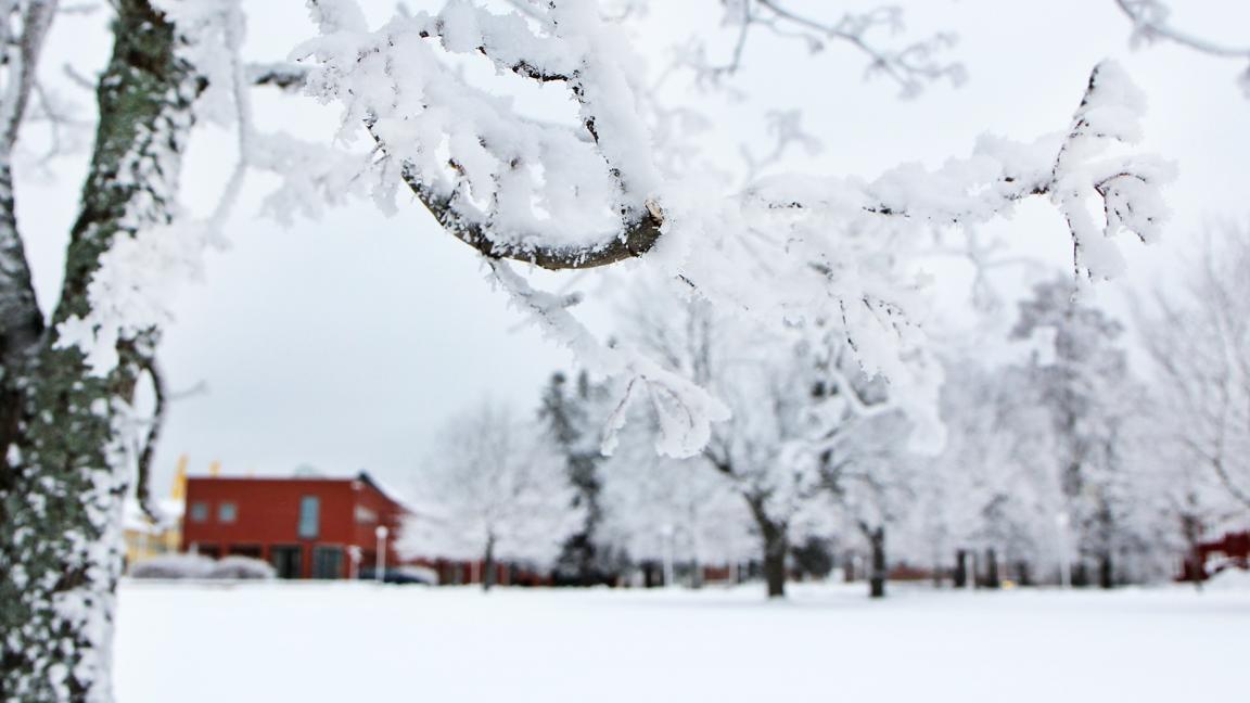Vaasan yliopiston kampus talvella