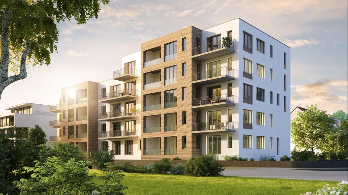 Puurakentaminen kuvituskuva