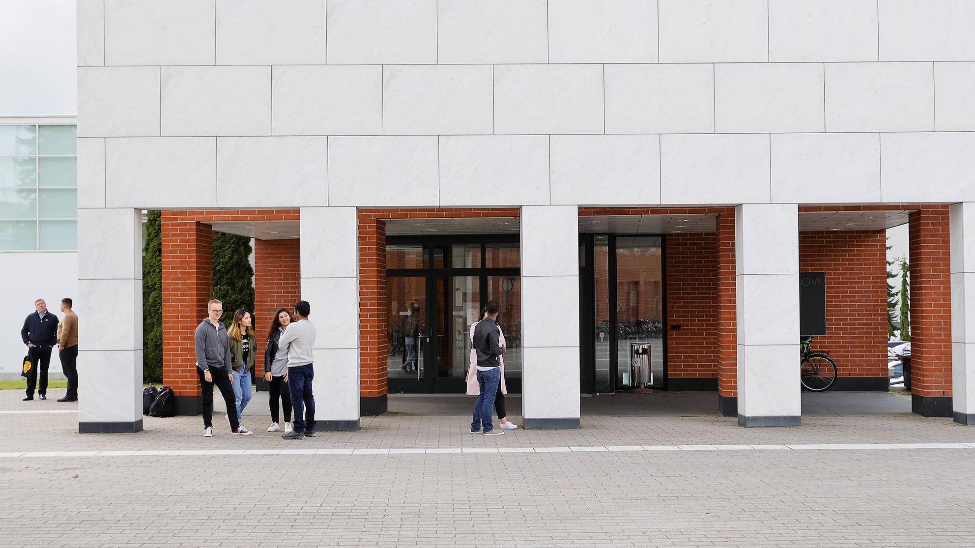 Marmoriportin edessä juttelee joukko opiskelijoita.