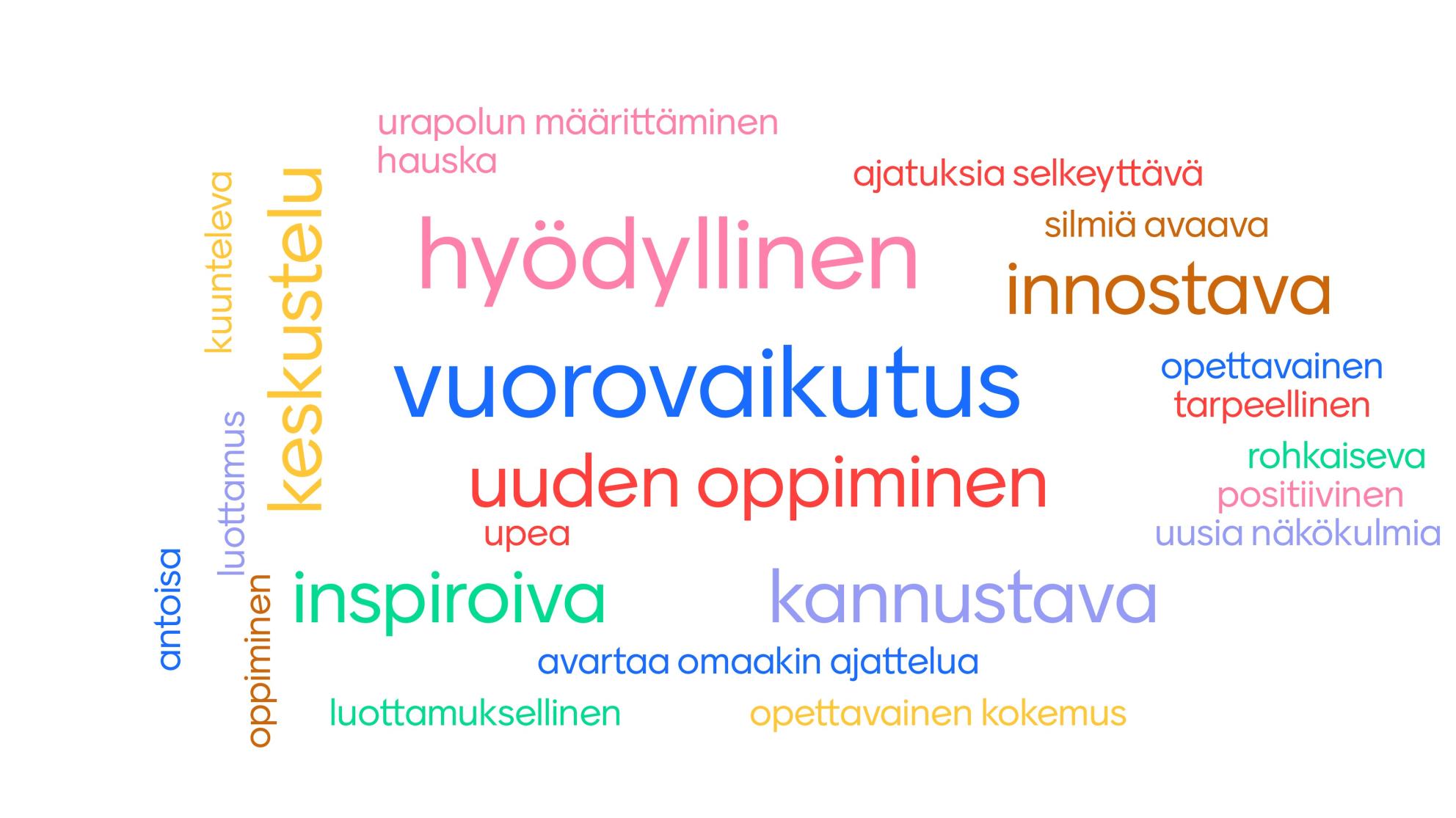 Mentorointiohjelmaan osallistuvat kuvaavat mentorointiohjelmaa näillä sanoin. (sanapilvi)