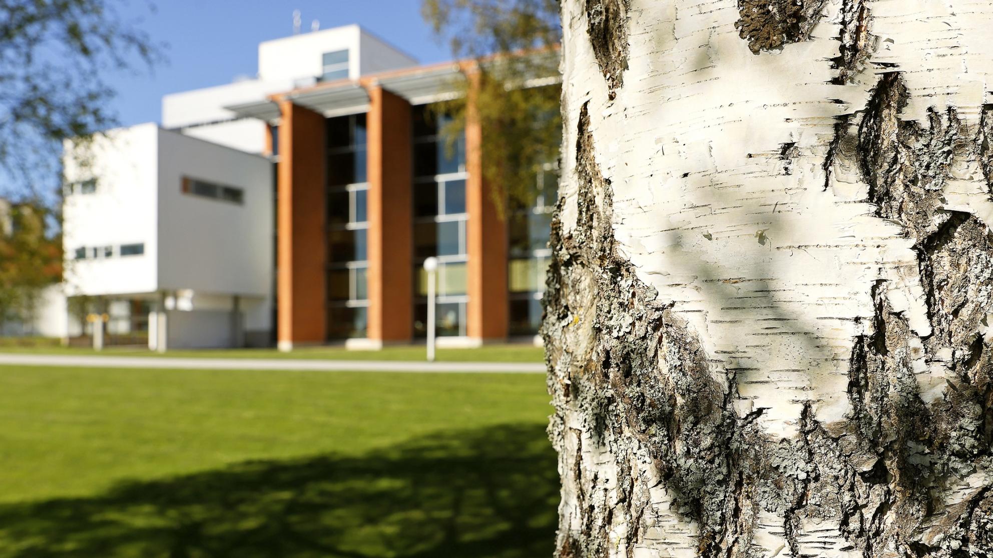 Tritonia mereltä päin kuvattuna. 