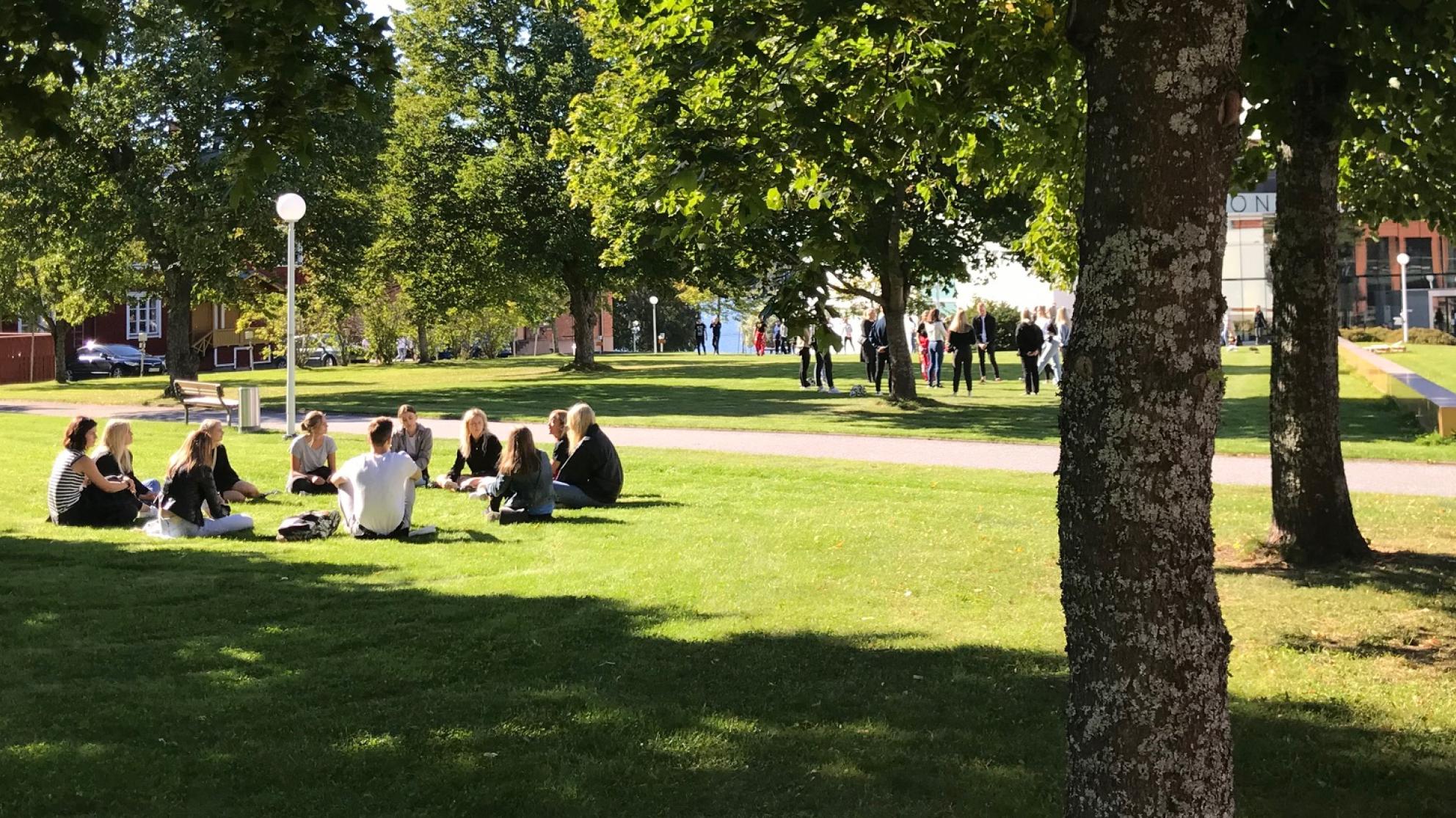 Opiskelijoita kampuksella