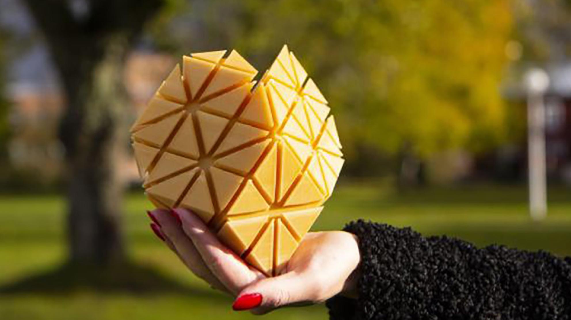 Suuri Sydän -palkinto 2023 - Big Heart Award 2023