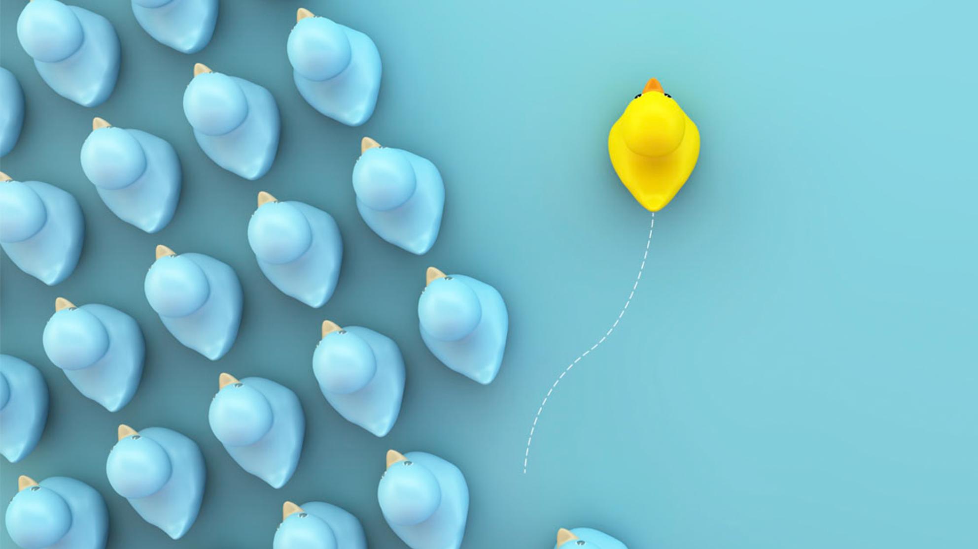 Muutosjoustavuuspolku