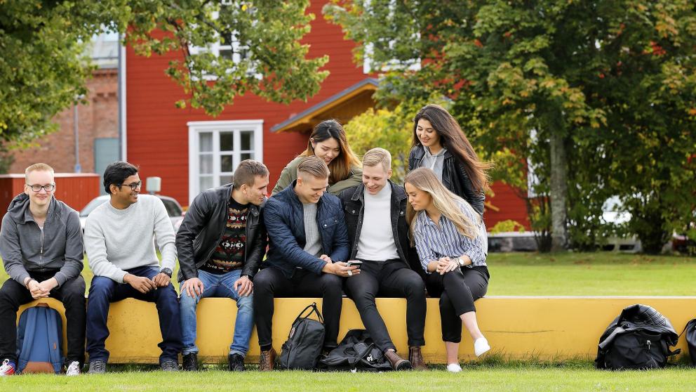 Opiskelijat istuvat kampuksella.