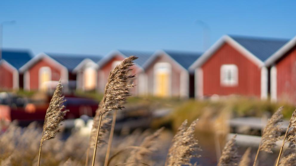 Landscape in Björköby