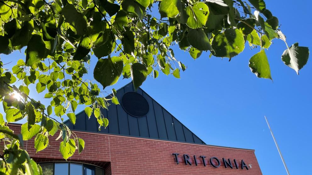 Kirjastorakennus ja vihreät puut