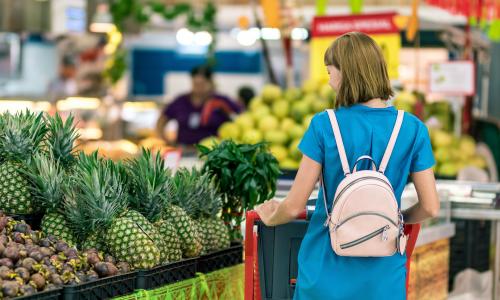 shopping groceries