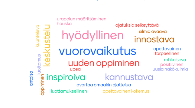 Mentorointiohjelmaan osallistuvat kuvaavat mentorointiohjelmaa näillä sanoin. (sanapilvi)