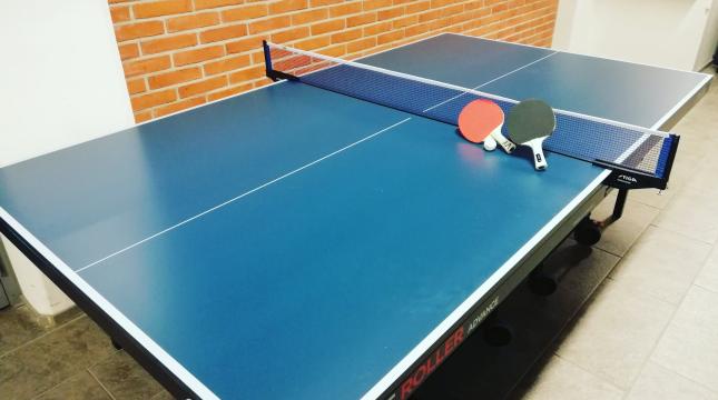 Table tennis table