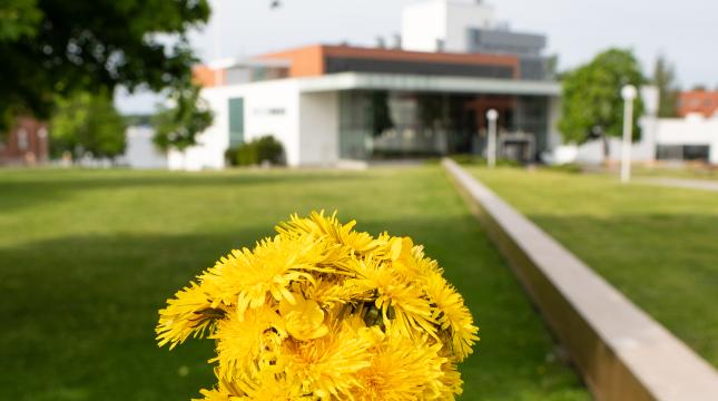 Kukka kädessä kampus taustalla. 