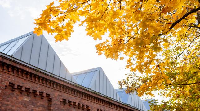 Technobothnia ja ruska. 