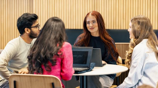 Opiskelijat tekevät ryhmätyötä. 