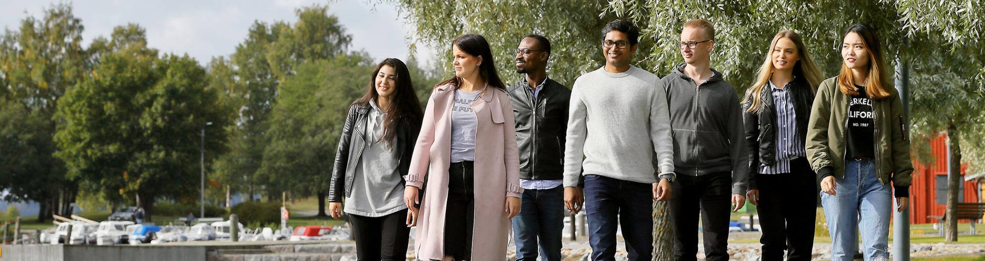 students outside of the University of Vaasa