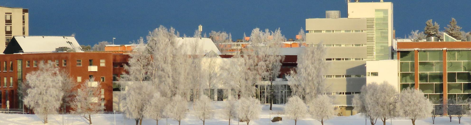 Campus at winter