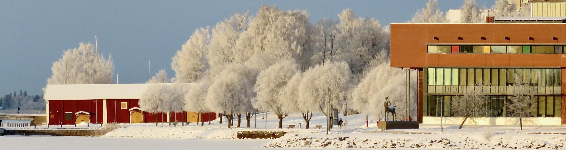 vinter at campus