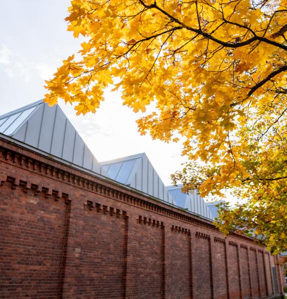 Technobothnia ja ruska. 