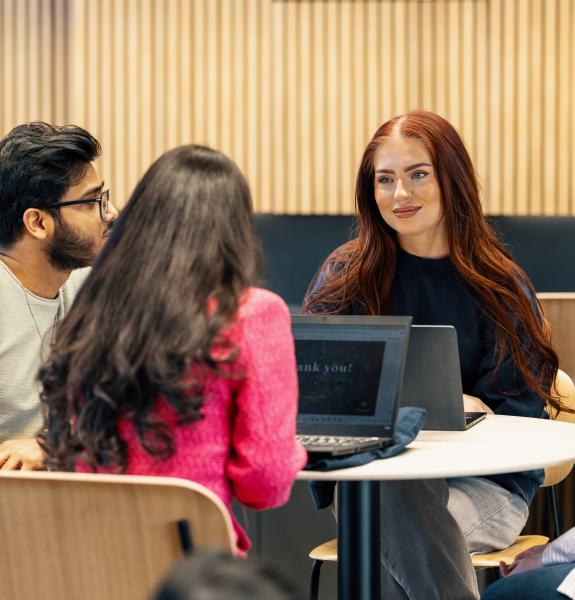 Opiskelijat tekevät ryhmätyötä. 