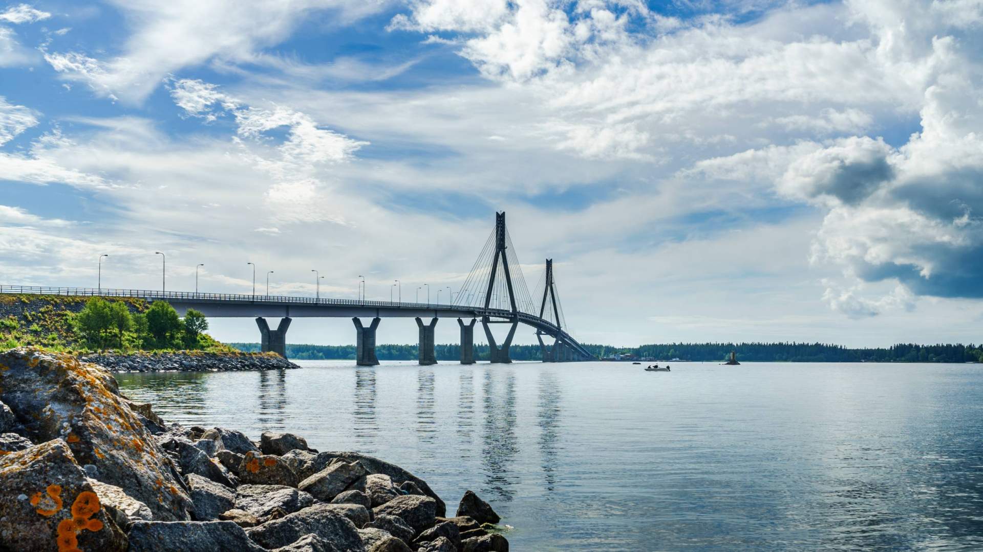 Alueellinen yhteistyö | Vaasan yliopisto