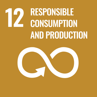 UN sustainable development goal: Responsible consumption and production