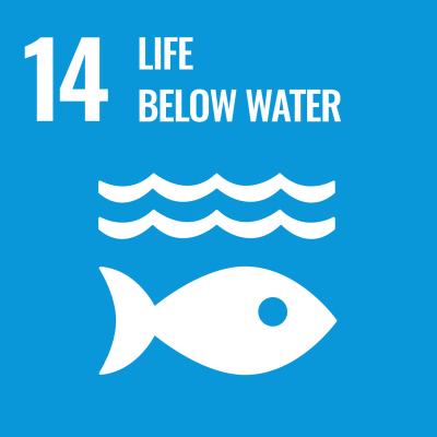 UN sustainable development goal: Life below water