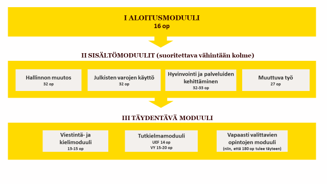 Havainnekuva opintojen rakenteesta ja moduuleista.