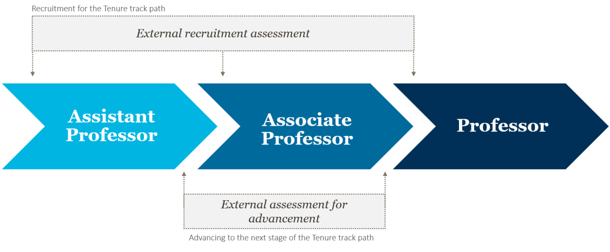 Tenure track career path