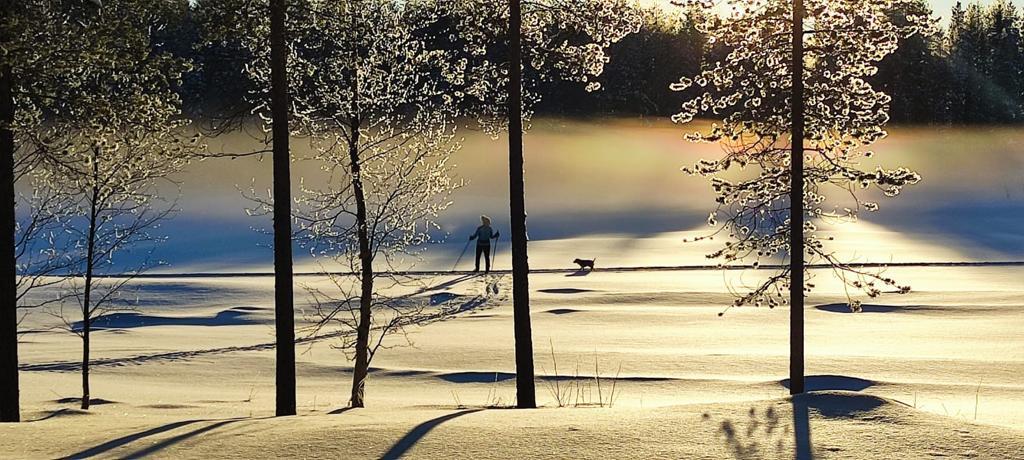 Hiihtäjä ja koira aurinkoisessa talvimaisemassa