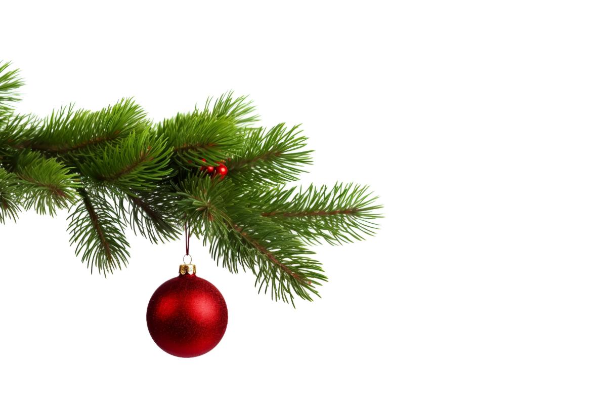 Joulupallo roikkuu kuusen oksalla