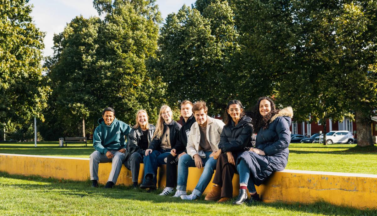 Opiskelijoita istumassa kampuksella