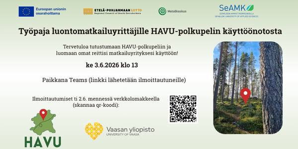 HAVUpelityöpaja Teams 3.6.2026