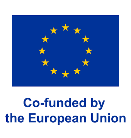 Co-funded by the European Union logo
