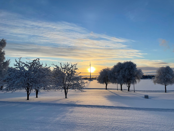 Snowy campus