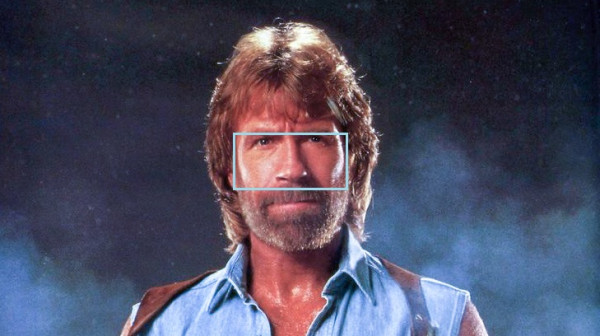 Chuck Norris promotion photo measurement