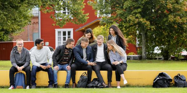 Opiskelijat istuvat kampuksella. 