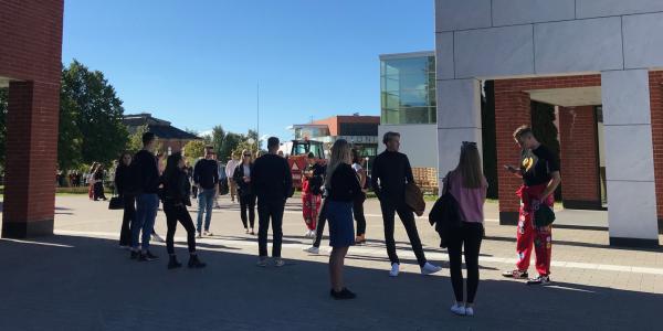 Vaasan yliopisto