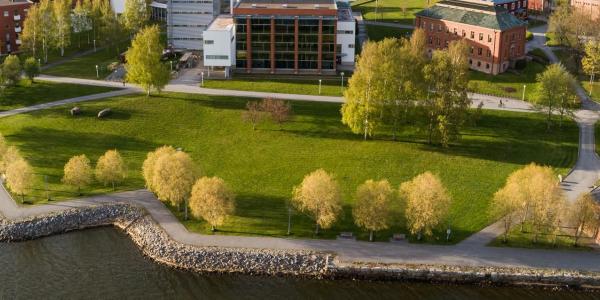 Vaasan yliopiston kampus