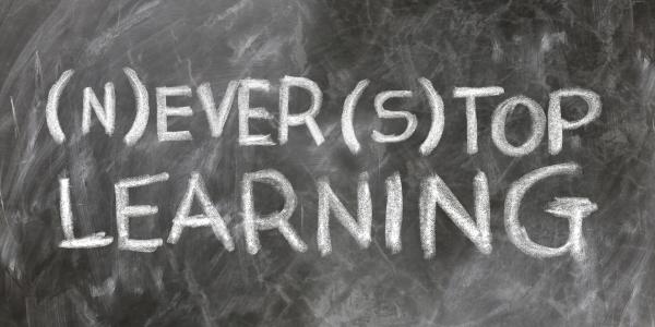 (N)ever (s)top learning