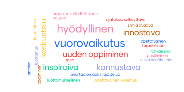Mentorointiohjelmaan osallistuvat kuvaavat mentorointiohjelmaa näillä sanoin. (sanapilvi)