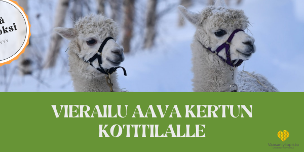 Aava Kertun Kotitila - Aava Kerttu´s Farm