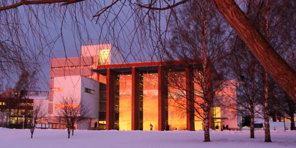 Auringonlasku kampuksella, kuva: Riikka Kalmi