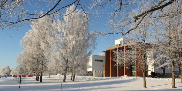 Kampus talvella