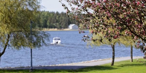 Kuva kesäisestä kampuksesta. 