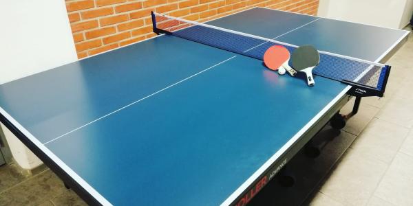 Table tennis table