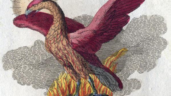 Friedrich Justin Bertuch (1747-1822): Feenix (1806)